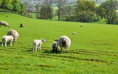 Church Houses Retreat 2026 – A Restorative Retreat in Farndale